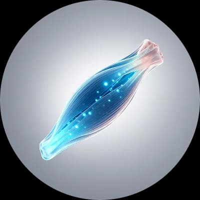 Gut metabolism