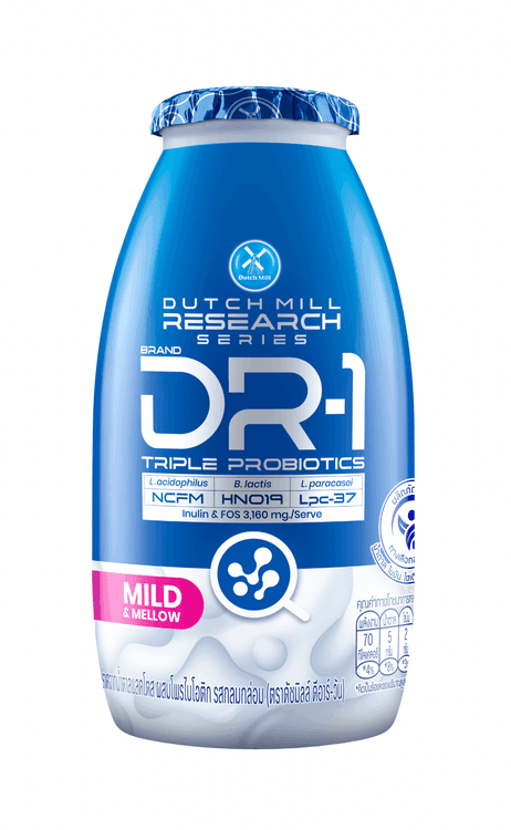 Dutch Mill DR-1