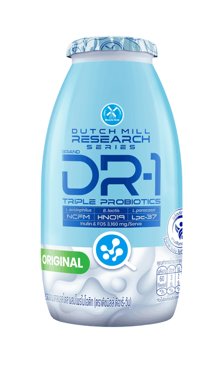 Dutch Mill DR-1