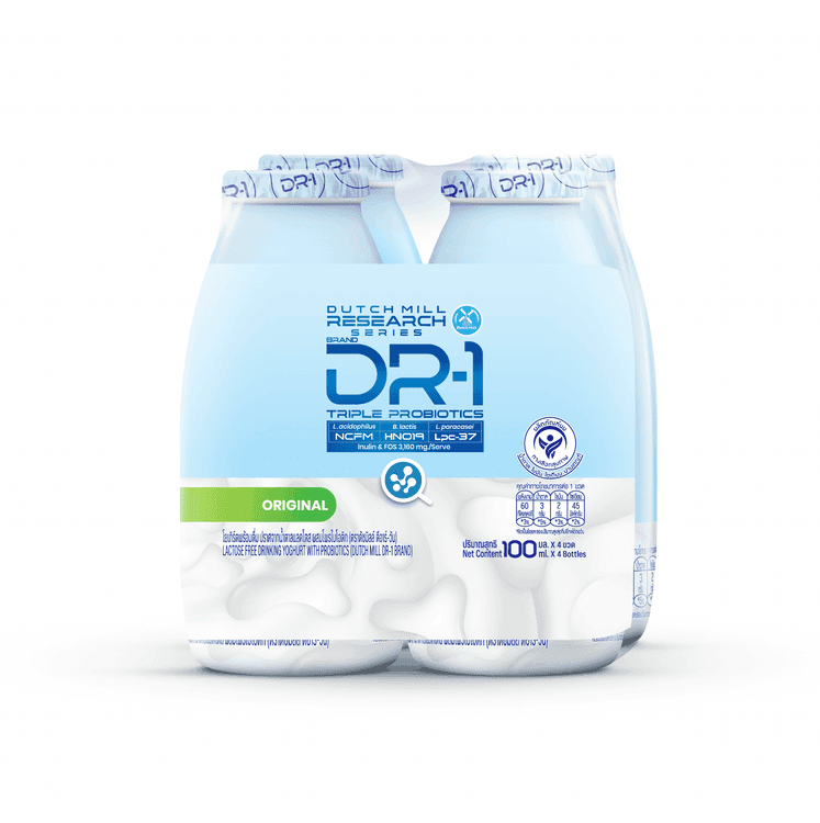 Dutch Mill DR-1